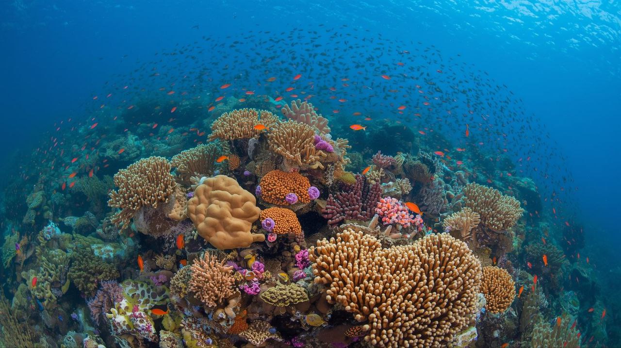 သန္တာကျောက်တန်း